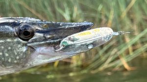 Блесна Williams Wabler. Колеблющаяся блесна Williams  Wabler W40