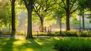 Аудирование. Английский