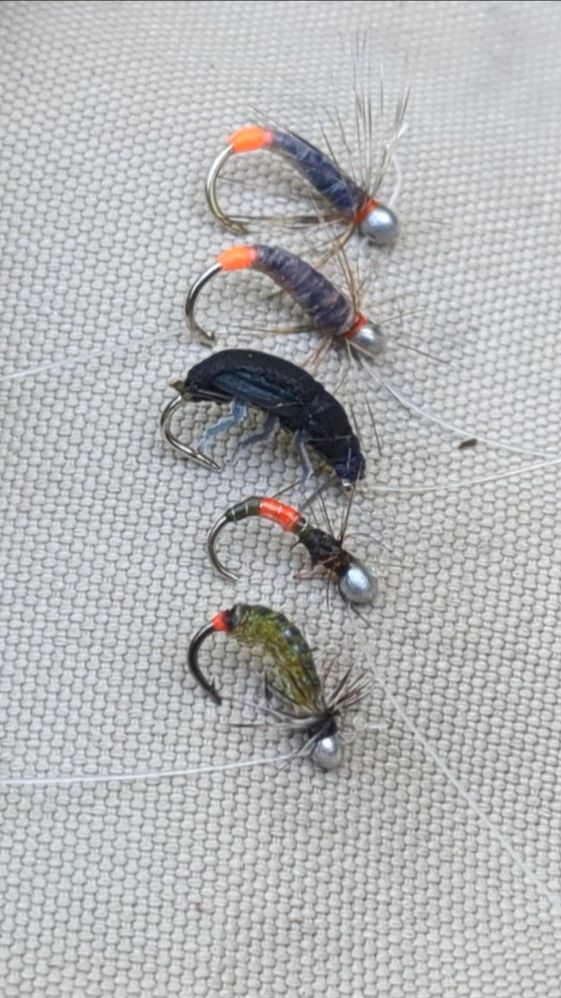 УЛОВИСТЫЕ МУХИ