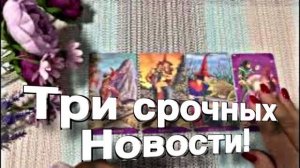 ТАРО РАСКЛАД☘️❤️ ТРИ НОВОСТИ ! СРОЧНО! ВАЖНО! ❤️