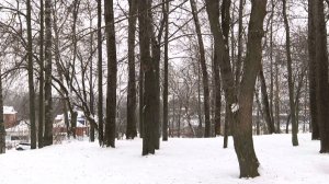 Синоптики рассказали о погоде в Вологодской области