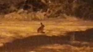 Зима 2026 ✅📌 📍💖