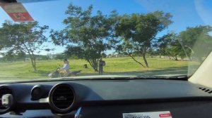 Прибыли в отель... 14.01.26.