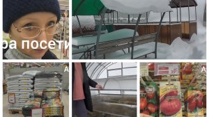 Середина января 2026 года. За семенами в Ашан. Парник присматриваю.