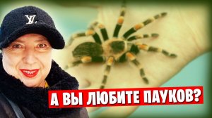 ❗️ Пауки в донецком торговом центре 🕷🕸