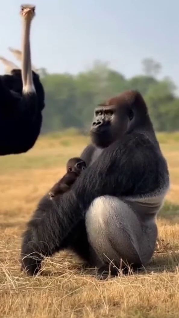 Природа смотреть онлайн