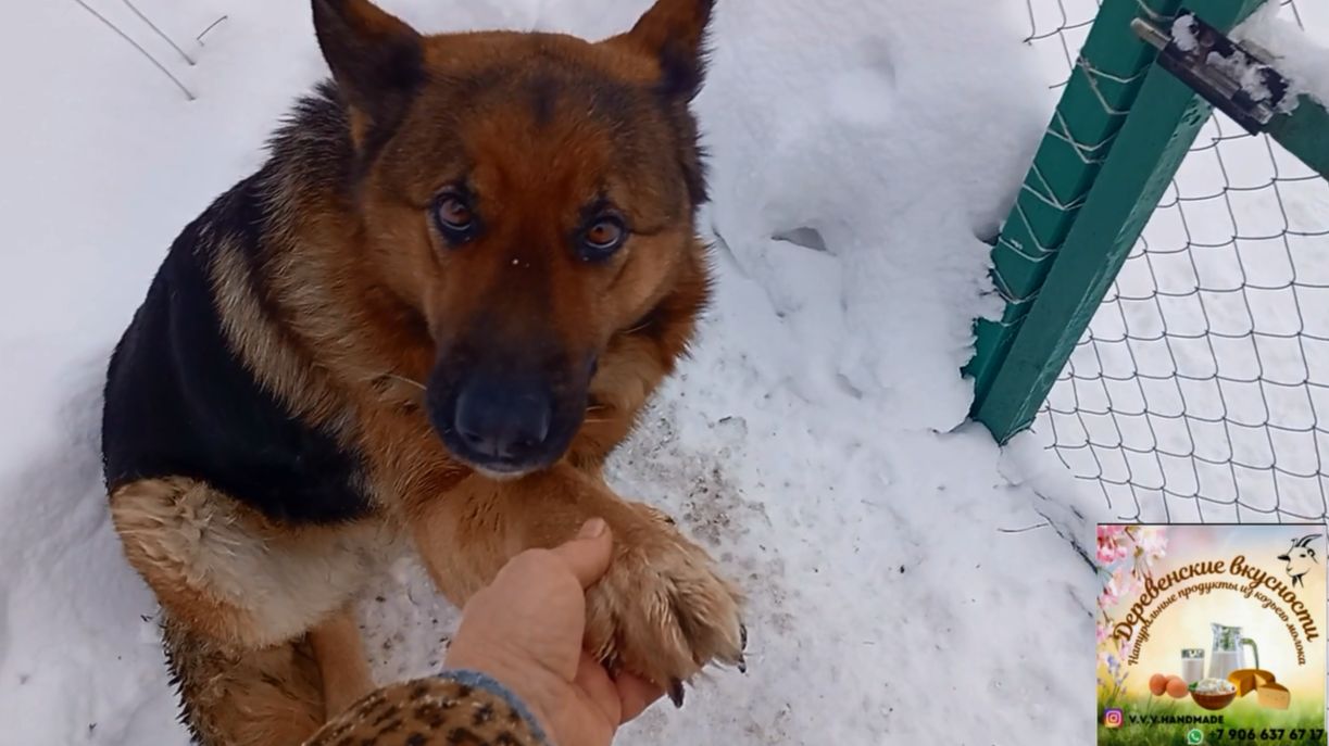 Чистый белый снег!  Лею покрыли!!!