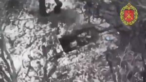 Вскрываем вражеские "гнезда с птичками"
🗺️В районе Никифоровки артиллеристы 85-й бригады…🔽🔽🔽