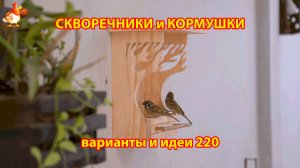 Скворечники и кормушки своими руками для птиц (220) 🪚🪛🔨 Идеи для дачи и сада пошагово ❣️