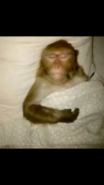 💬 Держим кулачки за всех, кого ещё ждут экзамены #белгу