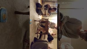 Мася и Вероника