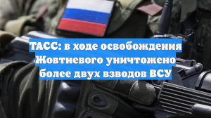 ТАСС: в ходе освобождения Жовтневого уничтожено более двух взводов ВСУ