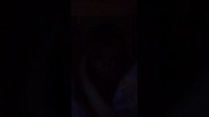 дарова епта