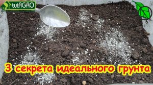 Всего 3 ЛОЖКИ для идеального грунта. 🌱 Рассада-бомба! 🍅Готовим грунт, который взорвет урожай!