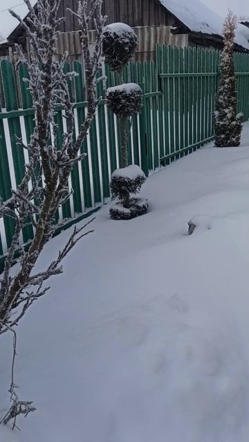 16-01-2026 Как  в  Сказке🤗 смотреть онлайн