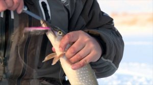 Ух, какие жесткие поклевки. Рыба здесь злючая