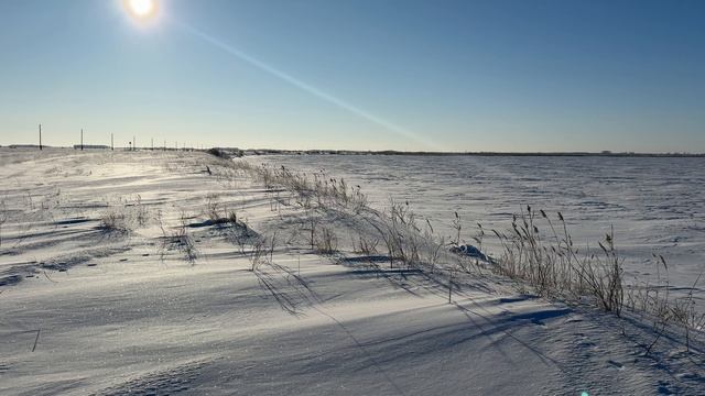 🎼. Ансамбль имени А. В. Александрова - Ой, ты степь широкая смотреть онлайн