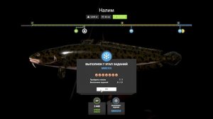 Русская Рыбалка 4. Выполнение новогодних заданий