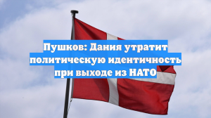 Пушков: угроза Дании выйти из НАТО выглядит попыткой шантажа обиженной страны