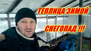 Как почистить снег с теплицы?