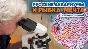 Аквариумные истории из ЭКЗОМЕНЮ (16.01.2026). Русские Аквариумы и рыбка-мечта (Выставка 2 часть).