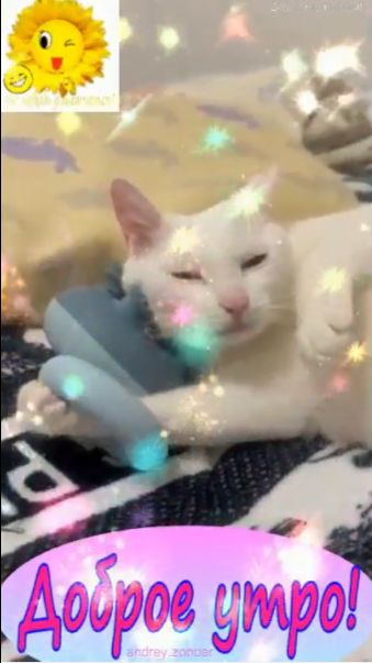 Доброе утро!) Замечательного дня!) #доброеутро смотреть онлайн