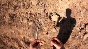 Ловля карася летом на донку