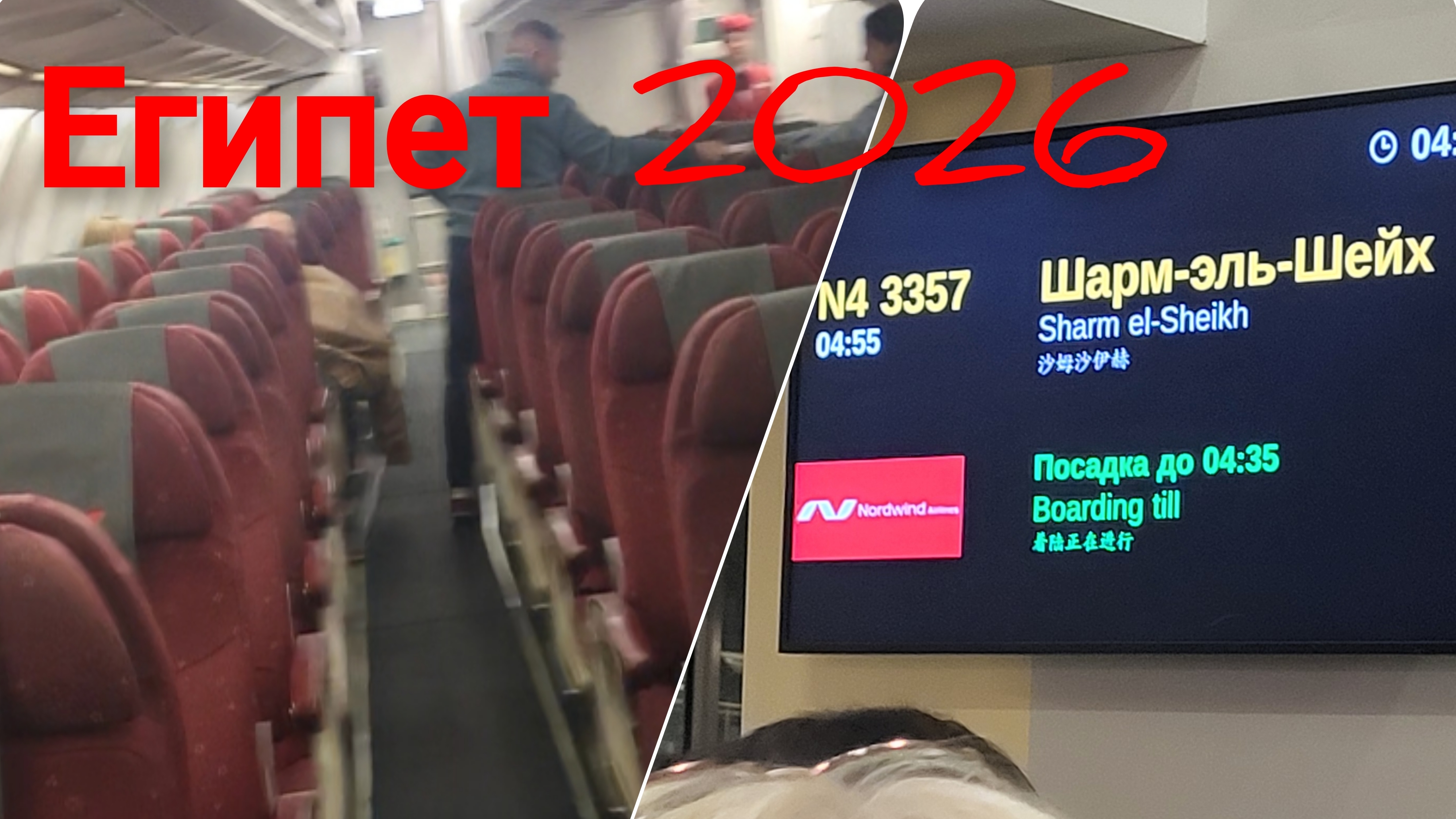Лечу одна в Египет на Крещение!🌴🌊Авиакомпания✈️ Nordwind Airlines(Северный ветер). смотреть онлайн