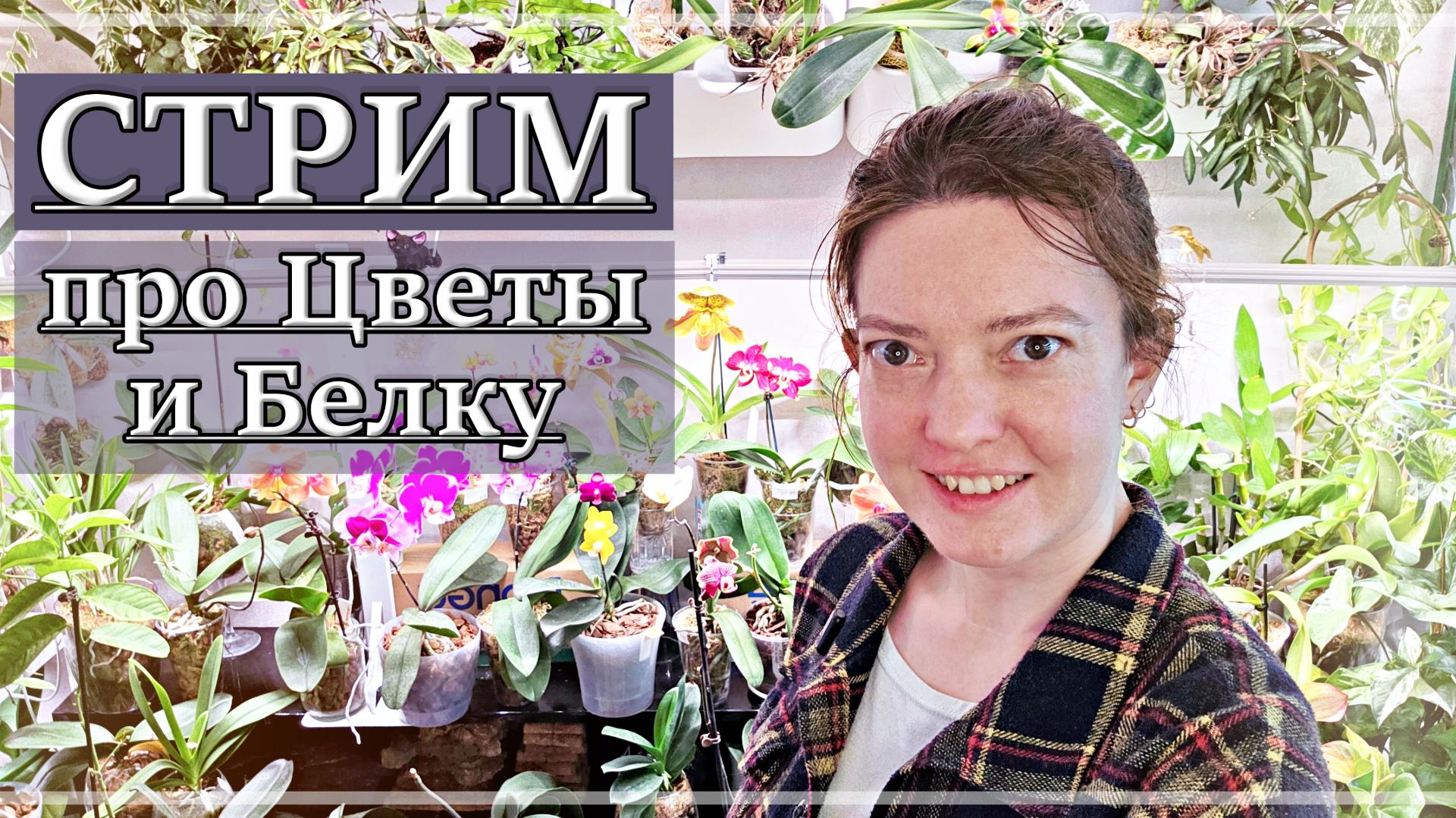 Запись Первого Беличьего Стрима! 15.01.2026 Белка Сид в прямом эфире.