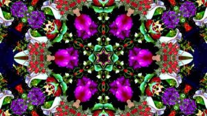 С Днём Рождения! Букеты роз 10 от Киностудии Мудрого Кота Тимофея