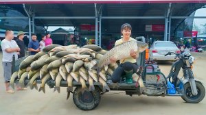 Покупаю много крупной рыбы у сельских жителей. Вытаскиваем рыбу сетями с пруда и продаю на рынке