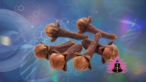 Гвоздика*Программа Матрица по Технологии Гаряева П.П