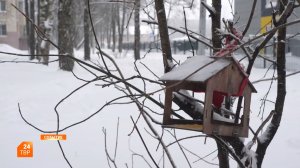 Прогноз погоды