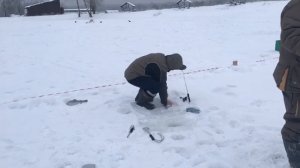 ещё одна форель на льду