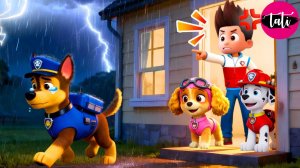 Щенячий патруль и Маршалл. Залипательное видео. Мультфильм для детей и малышей. Анимация 66