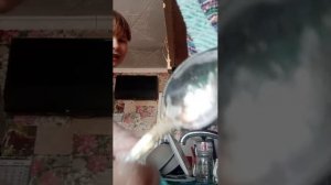 моём посуду