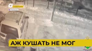 Автопатруль112 / Погибли в огне / Пожар на стройке / Придавило деревом / 15.01.26