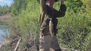 ГОРБАЧИ НАШЕГО ЛЕТА!!!