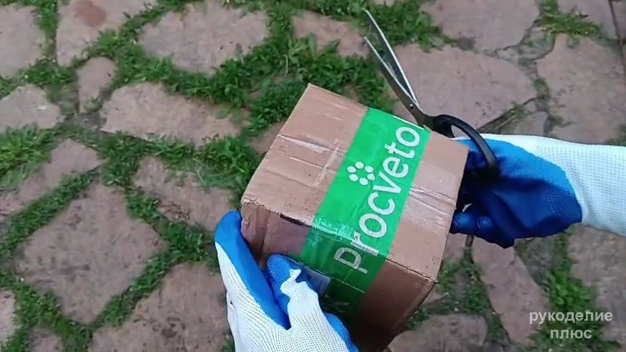 Procvetok. Посылка с интернет-магазина «Процветок». Распаковка смотреть онлайн