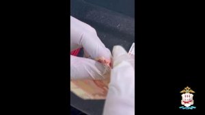 В Мордовии за оборот поддельных пятитысячных купюр оглашён приговор двум бывшим сокамерникам