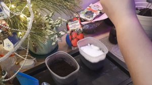 ПОСЕЯЛА ЗЕМЛЯНИКУ БАРОН САЛЕМАХЕР//КУПИЛА НОВЫЕ СЕМЕНА//