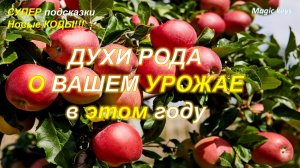 ДУХИ РОДА🔥 о Вашем УРОЖАЕ в этом году💰💰💰
