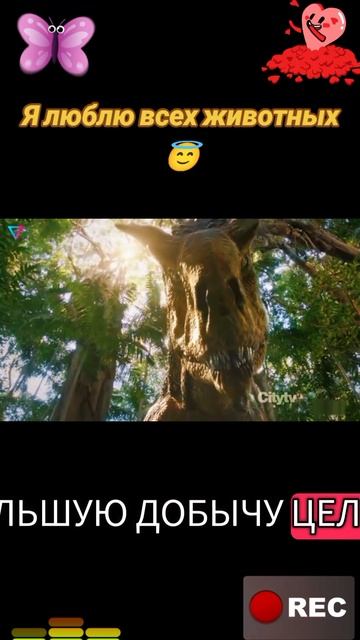 Я люблю всех животных😇 смотреть онлайн
