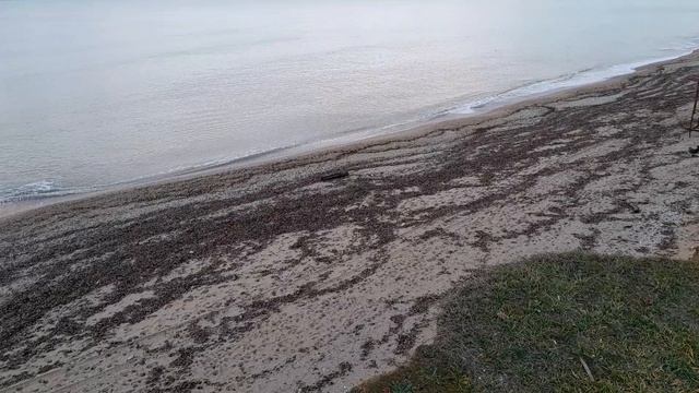 6 января 2026 года после прорыва реки Бельбек в море смотреть онлайн