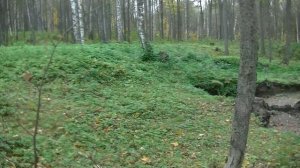 vatravel.ru Золотарёвское городище ( рядом с посёлком Золотарёвка Пензенской областью)