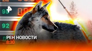 Волки терроризируют поселок / Невидимый дрон ВС РФ / Проверка цен на АЗС / РЕН НОВОСТИ 16.01, 8:30