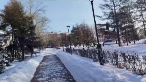 Аллея в честь 150-летия открытия Государственного банка в городе Иркутске. открыта в мае 2015 года.