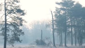 Не упустите главный шанс года. Тайны первого новолуния.