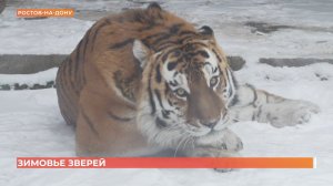 Обитатели Ростовского зоопарка, в том числе и теплолюбивые, встречают зиму