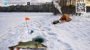 Зимняя сказка у озера. Тепло палатки, рыбалка и верный друг